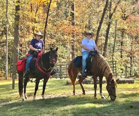 Daily Walk Stables CAMPGROUND