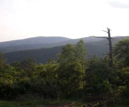 Raven Ridge Lodge