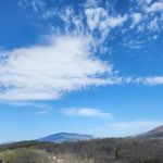 Mount Harvest