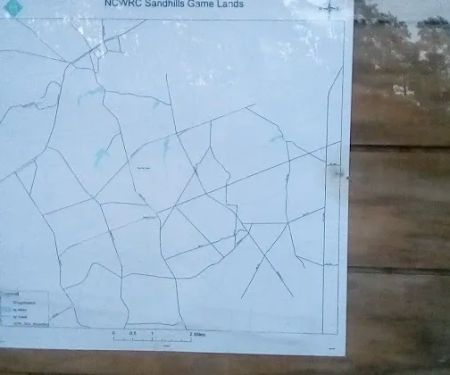 Sandhills campground b