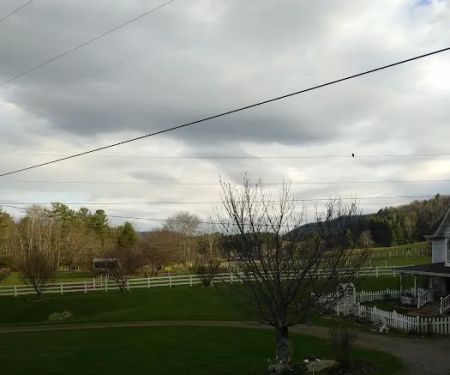 Gentry Creek Farm