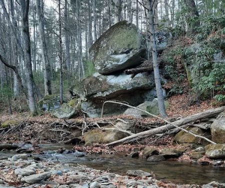 Shinny Creek Backcountry Campground