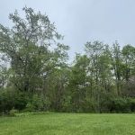 Crossroads Camp