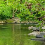 Thunder River Campground