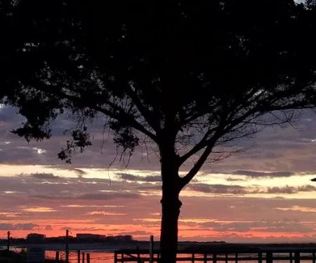 Waterway Campground