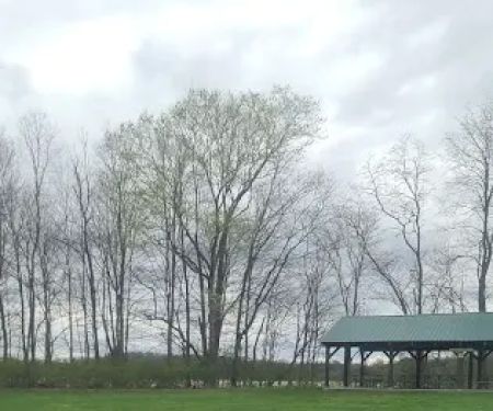 Hickory Overlook Group Camp Site