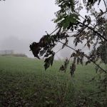 Pursuit Farms