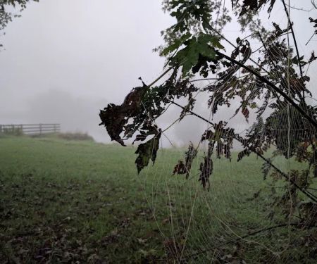 Pursuit Farms