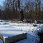Island Lake-Canoe Campground