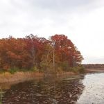 Pines Campground