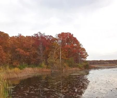 Pines Campground