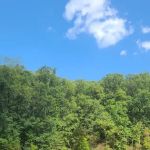 Bluffs