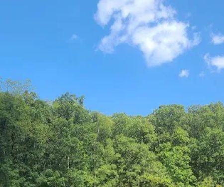 Bluffs