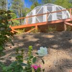 Carolina Domes