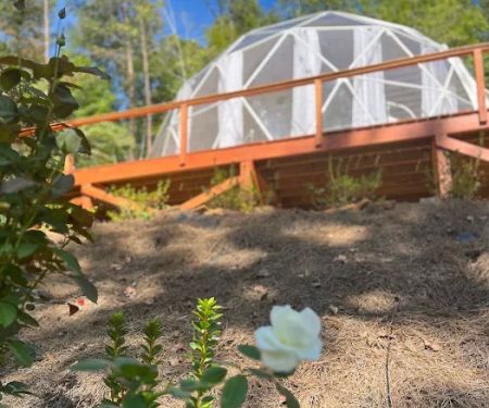 Carolina Domes
