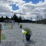 Rutherford Mountain Campground