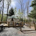 Four Paws Kingdom Campground & Dog Retreat