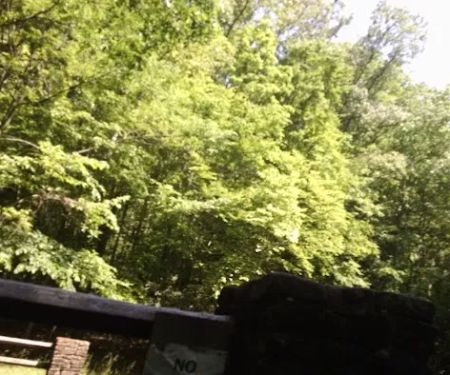 Cave Springs Campground