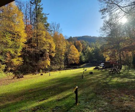 Black Bear Resort