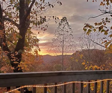 Mountain Rose Cabin