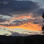 Armstrong Creek RV Park