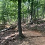 Camp Buckhorn