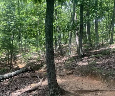 Camp Buckhorn
