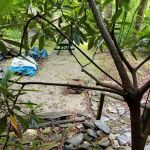 Triple C Campground