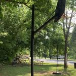 Clinch River Family Campground