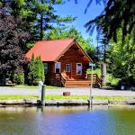 Pines cabin