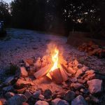 Back to Nature