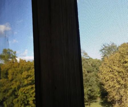 Bg's Campground
