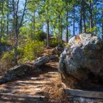 Sand Hills State Forest / Sugarloaf Mountain