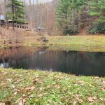 Pioneer Plunge