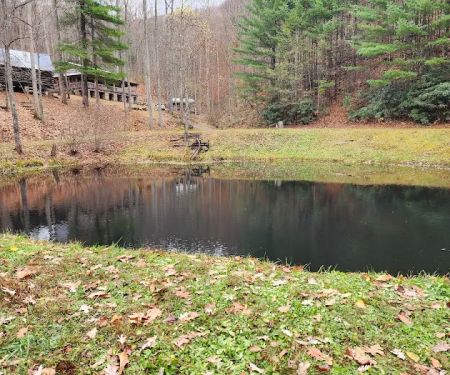 Pioneer Plunge