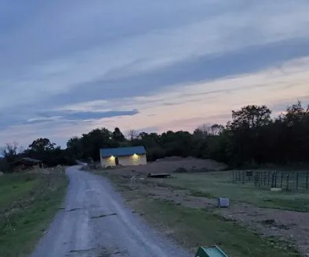 McMillan Farms llc