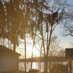 Rogers Resort Inc