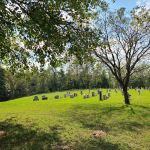 Campground Church