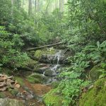 Round Knob Picnic Area