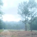 Fell Hunt Campground