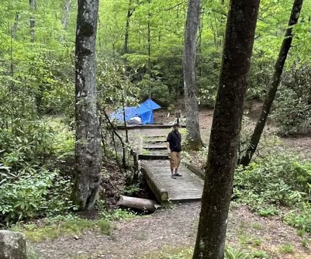 Wash Creek Campsite