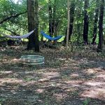 Mongos Meadow