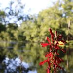 Tippecanoe River Run
