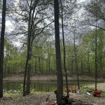 Haven Grove