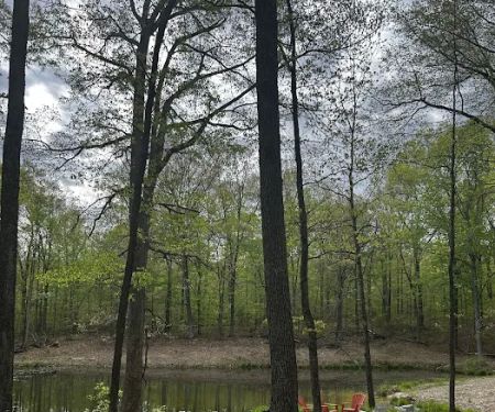 Haven Grove