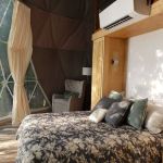 Beaveria Dome