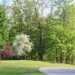 Ed H. Henning County Park