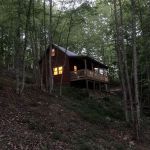 Mycelium Manor