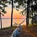 Cypress View Campground