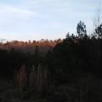 Fox Hollow Camp Ground